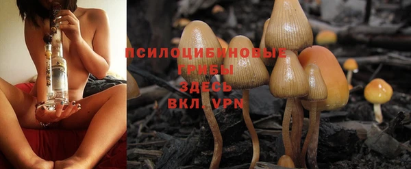 дживик Кинешма