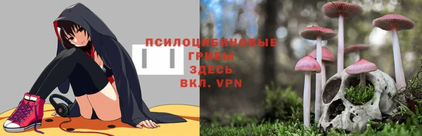 дживик Кинешма