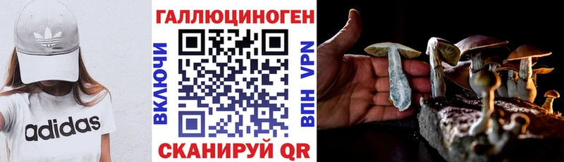 Псилоцибиновые грибы Psilocybe  OMG как войти  Среднеколымск 